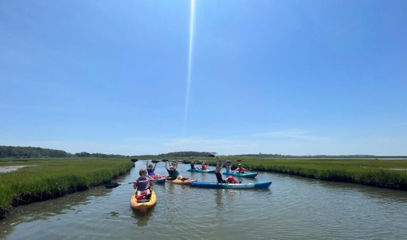 Berlin: Assateague Island Wildlife Discovery Kayak Tour - The Experience in Detail
