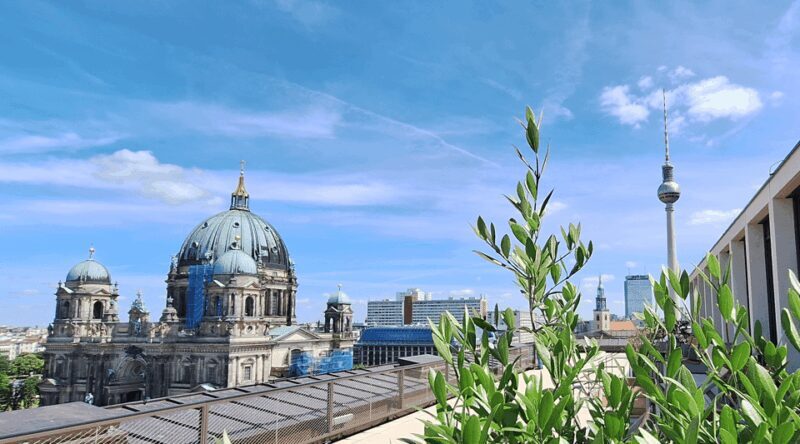 Berlin: City Highlights Express & Panorama Roof Terrace - Price and Value