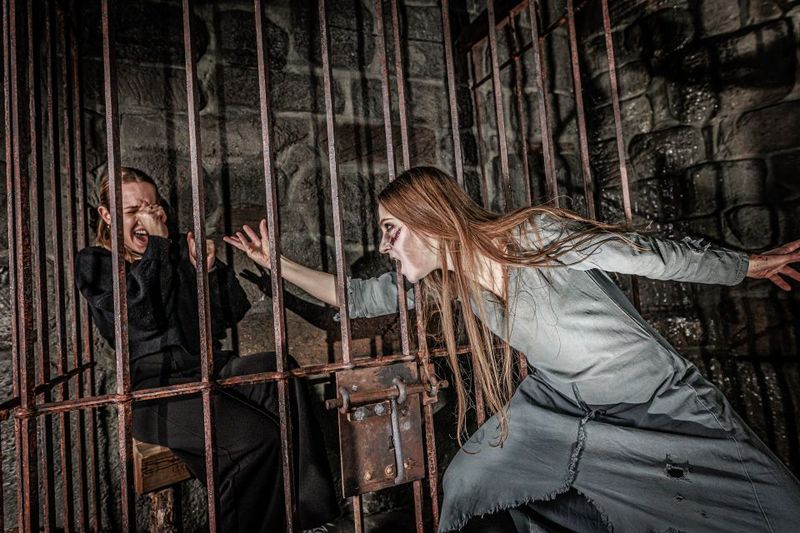 Berlin Dungeon: Entrance Ticket - The Frankenstein legend: folklore that clicks into a real story