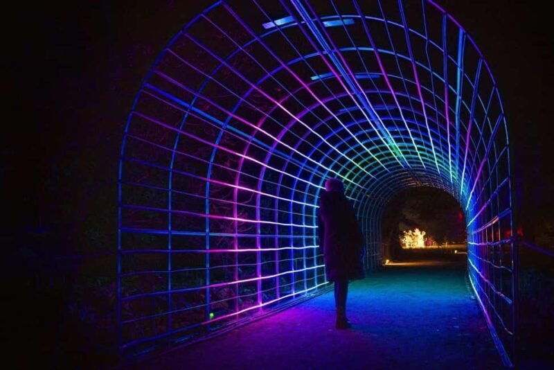 Berlin: Entry Ticket to Christmas at Tierpark - What Is "Weihnachten im Tierpark" All About?