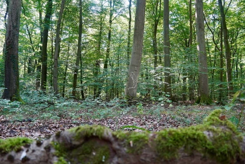 Berlin: Historical Tour along the Death March Path with Car - FAQs