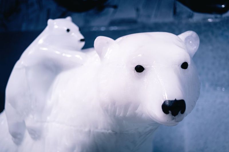 Berlin: Icebar Entrance with Complimentary Drinks - How the Hosts Make It Work: Clear Guidance and Friendly Energy