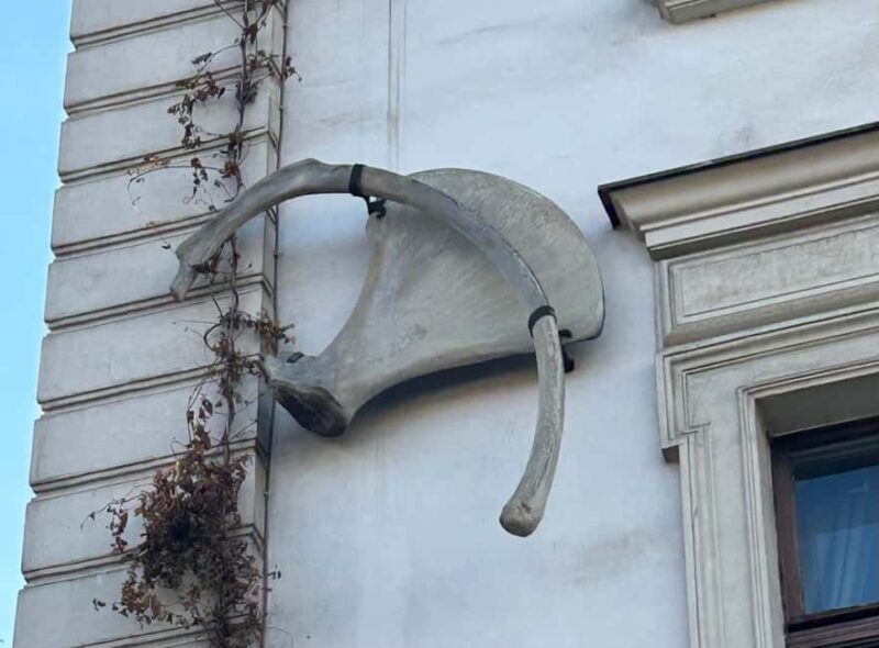 Berlin Mitte: City tour legends from medieval Berlin - The Practical Side: Price, Timing, and Booking