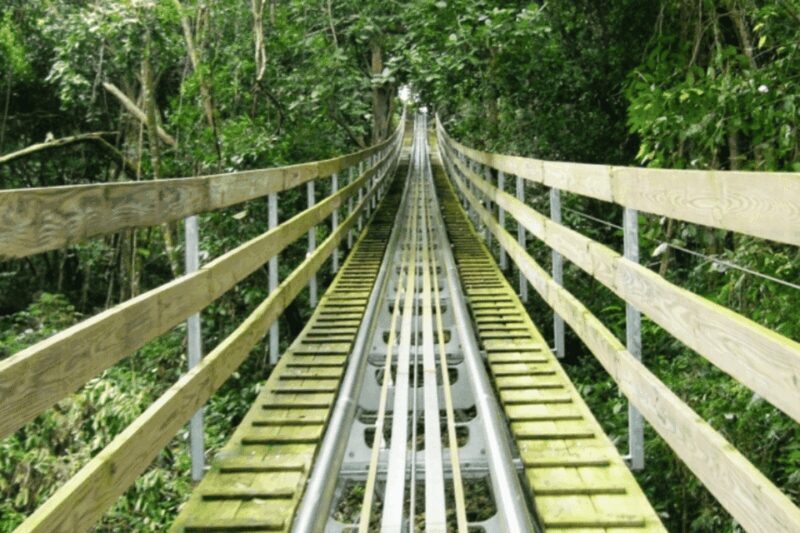 Berlin: Nature Bobsled Run Ticket - FAQ