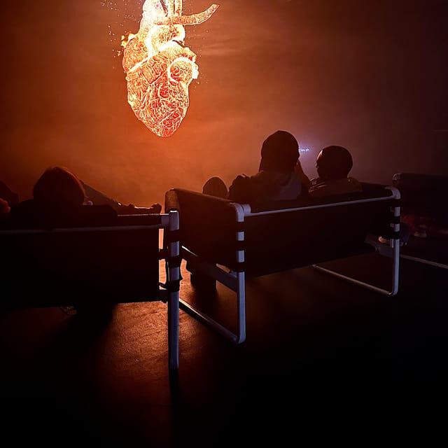 Berlin: P61 Gallery - FAQ