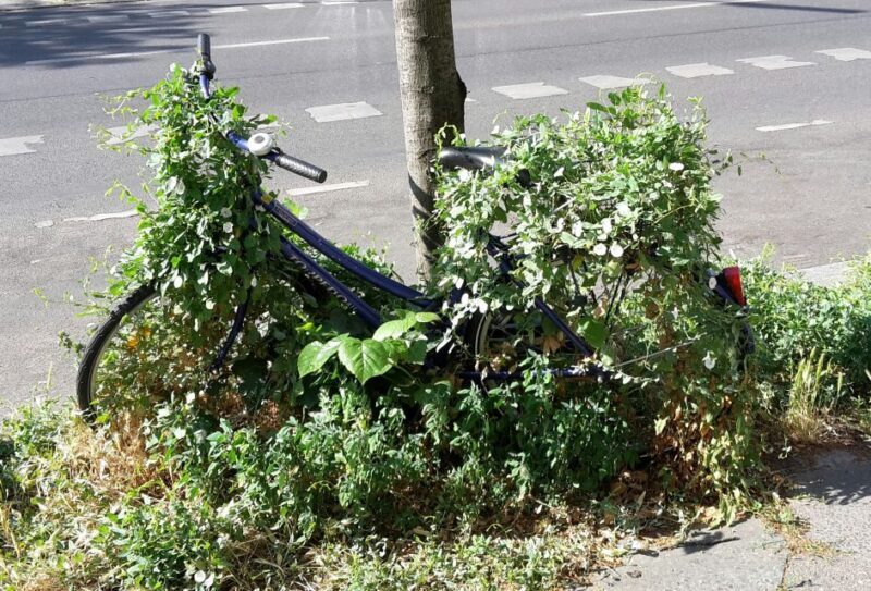 Berlin: Street Art and Alternative Tour - Who Will Enjoy This Tour?