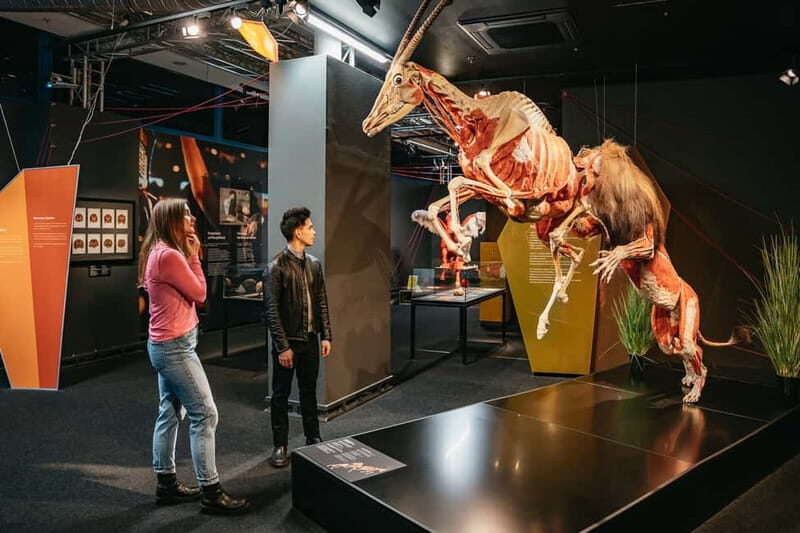 Berlin: Tickets for the BODY WORLDS Museum in Berlin - Key Points