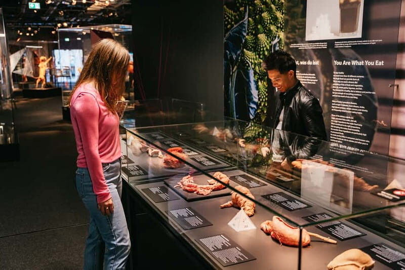 Berlin: Tickets for the BODY WORLDS Museum in Berlin - What to Expect at the Berlin BODY WORLDS Museum