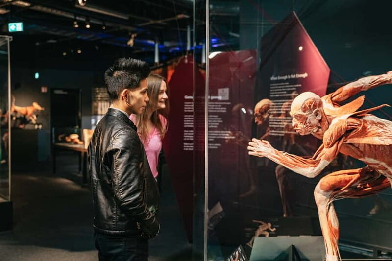 Berlin: Tickets for the BODY WORLDS Museum in Berlin - Authentic Visitor Perspectives