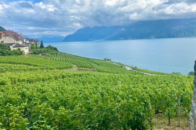 Bern Private Tour - Gruyères , Cheese, and Lavaux's UNESCO Wine - The Details of the Tour: What You Can Expect