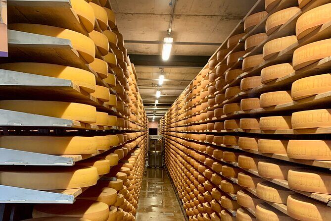 Bern Private Tour - Gruyères , Cheese, and Lavaux's UNESCO Wine - Who Should Consider This Tour?