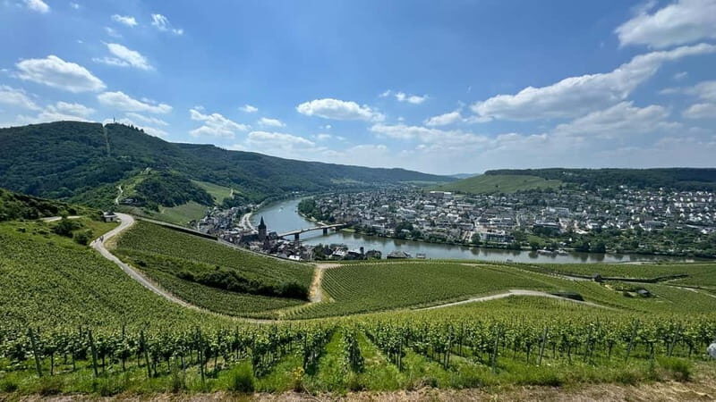 Bernkastel: 1-hour panoramic boat tour Lieser, Mülheim and back - The Sum Up