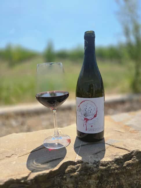 Bertinoro: Romagna Wines Authentic Tasting Experience - Final Thoughts