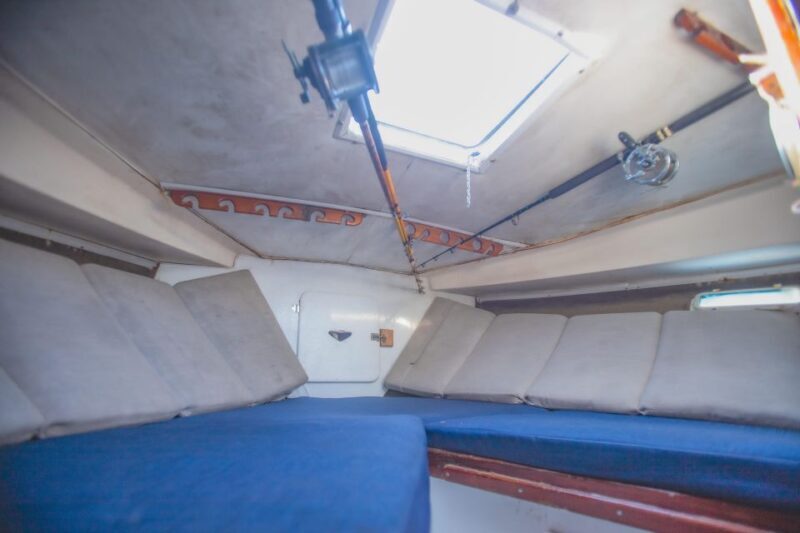 Bertram 38' Convertible Boat in Puerto & Nuevo Vallarta - Who Should Consider This Tour?