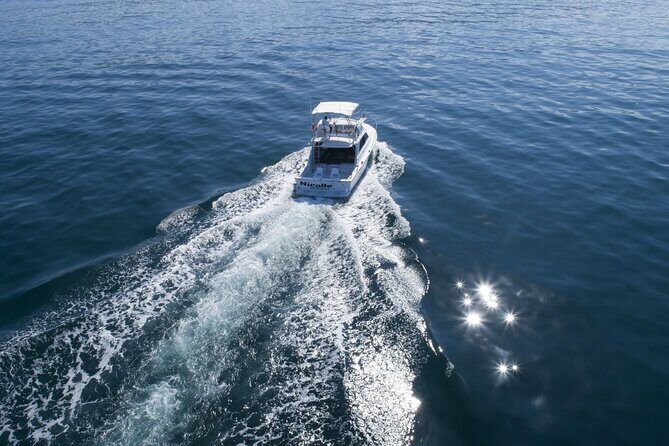 Bertram 38' Convertible Boat in Puerto & Nuevo Vallarta - The Bottom Line