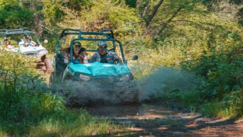 Besançon: Buggy Adventure Through Forests and Hills - Why Choose This Buggy Tour?