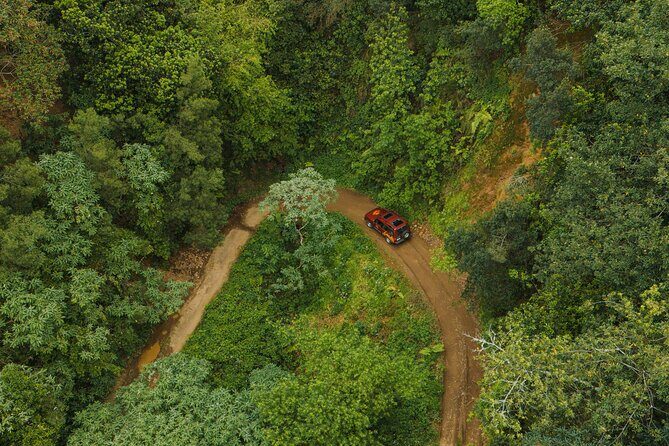 Bespoke adventure in Madeira with pick-up - FAQ