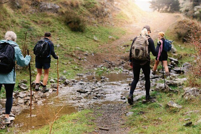 Bespoke Guided High Country Hiking - Is This Tour Worth It?