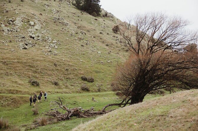 Bespoke Guided High Country Hiking - FAQ About the Bespoke Guided High Country Hiking