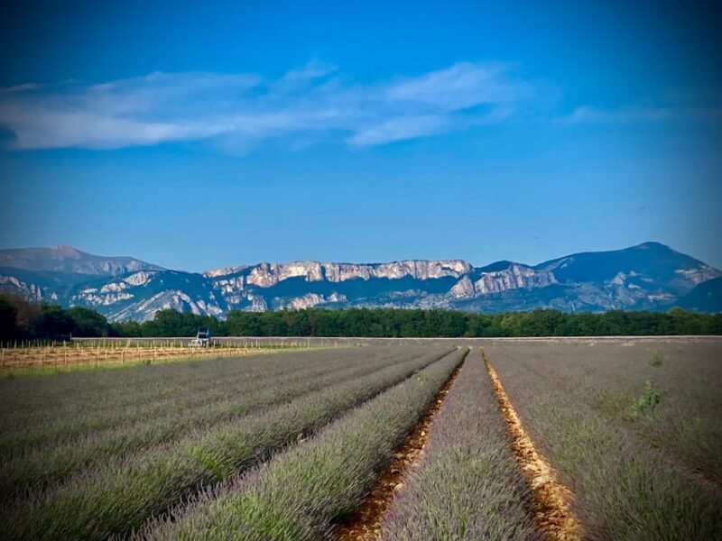 Bespoke Luxury Sightseeing Experiences - Cost-Benefit Analysis: Is It Worth It?