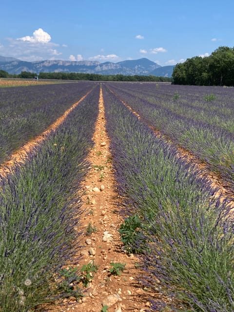 Bespoke Luxury Sightseeing Experiences - Who Should Consider This Tour?