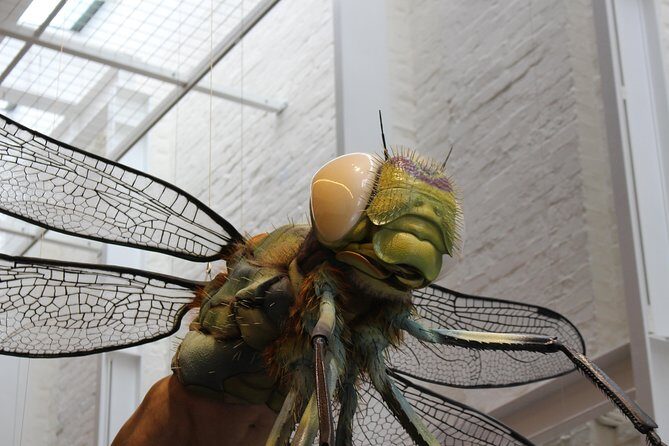 Bespoke Private Tour of Sydney - What the Tour Entails: A Detailed Breakdown