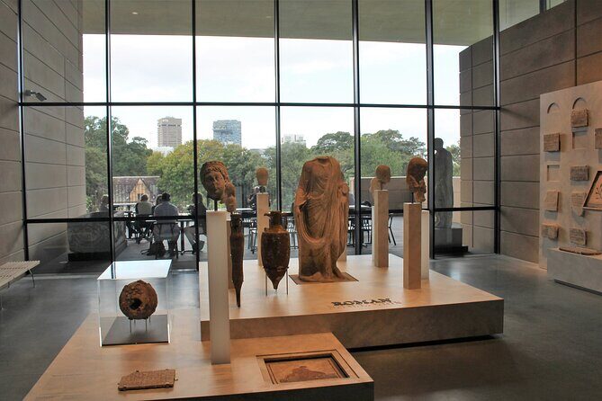 Bespoke Private Tour of Sydney - Authentic Reviews and Feedback