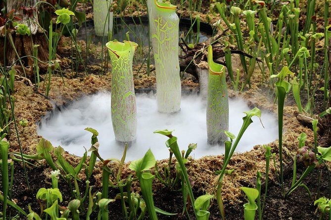 Bespoke Private Tour of Sydney - Frequently Asked Questions