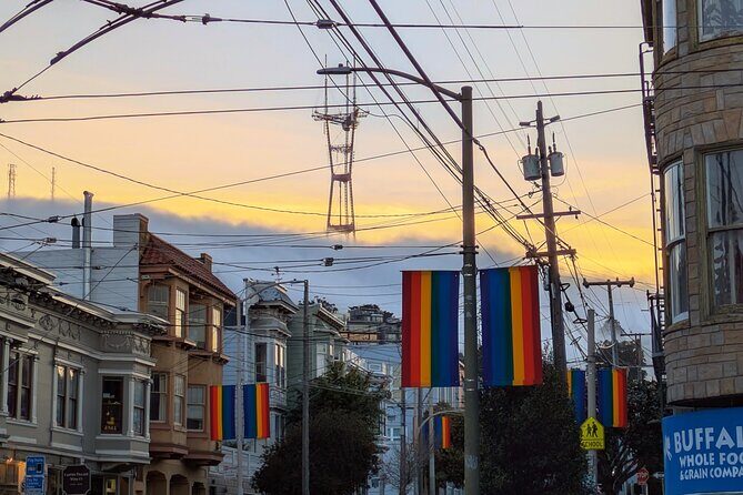 Bespoke San Francisco EV VW Van Experience - The Experience in Detail