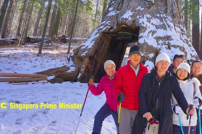 Best 1-Day Yosemite National Park Private Tour from San Francisco - The Itinerary Breakdown