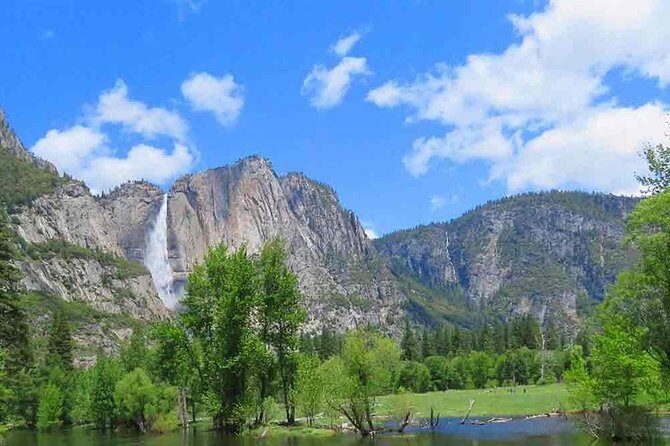 Best 1-Day Yosemite National Park Private Tour from San Francisco - FAQ
