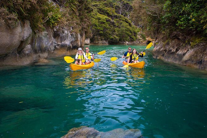 Best Abel Tasman Day trip - The Value and Overall Experience