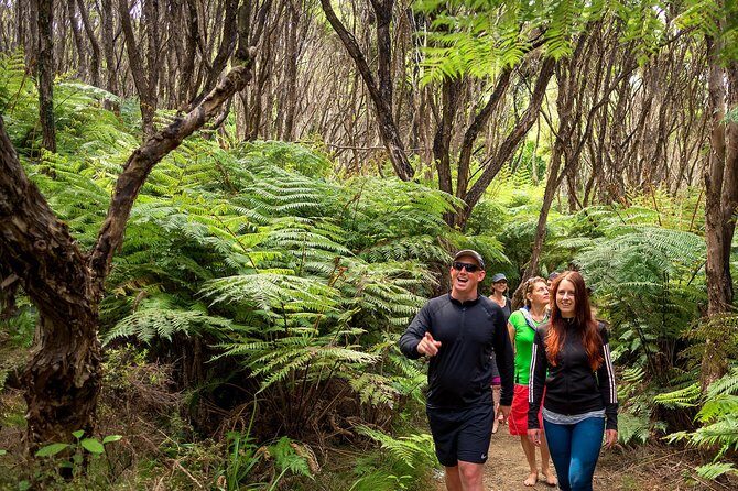Best Abel Tasman Day trip - Who Should Book This Tour?