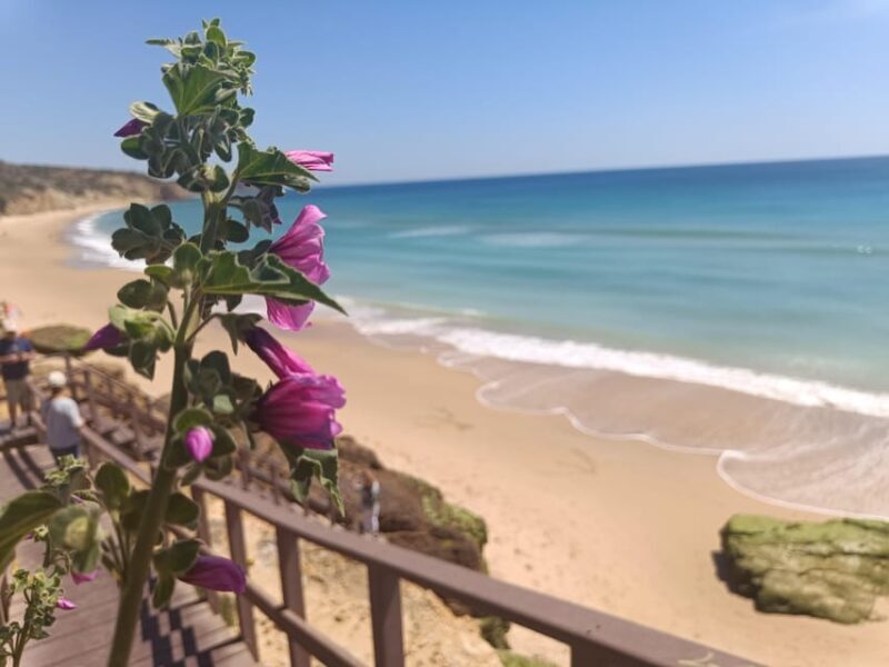 Best Coast Tour - Southwest of Europe - Logistics and Practicalities