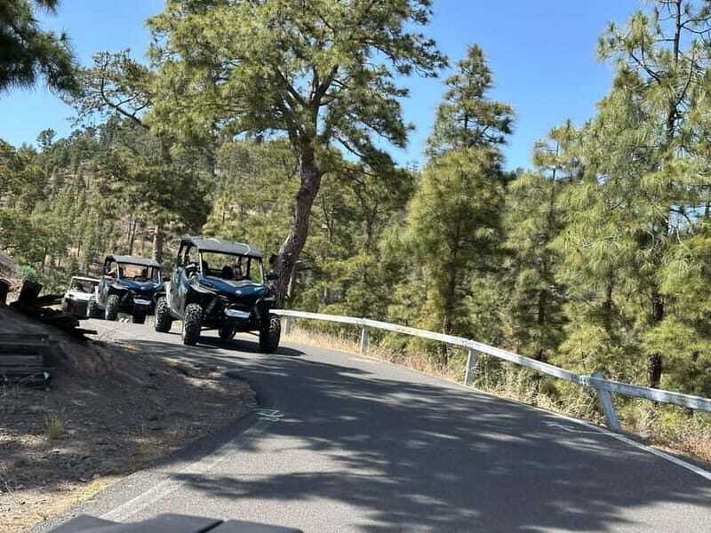 BEST FAMILY & FRIENDS FUN BUGGY TOUR - FAQ