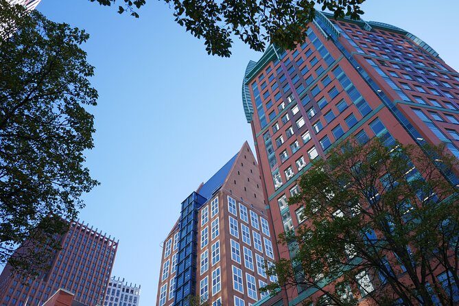 Best Highlights of The Hague with a local - Who Will Love This Tour?