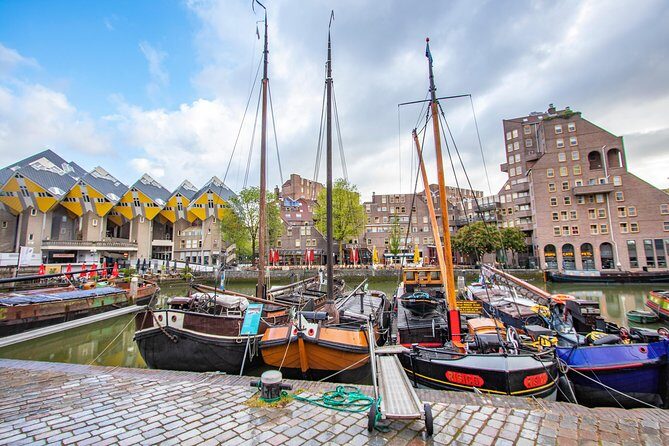 Best Intro Tour of Rotterdam with a Local - Key Points