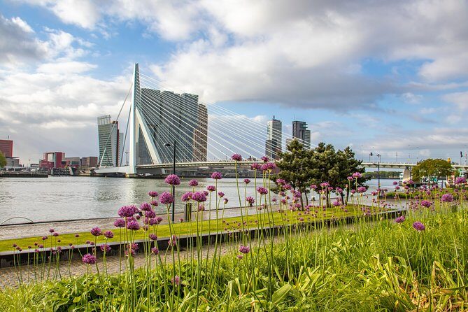 Best Intro Tour of Rotterdam with a Local - What the Tour Looks Like: A Closer Look
