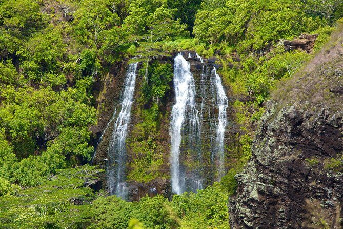 Best Kauai Northeast, Fern Grotto River Cruise & Lighthouse Tour - What to Expect from the Tour