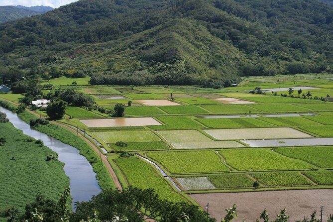 Best Kauai Northeast, Fern Grotto River Cruise & Lighthouse Tour - FAQ