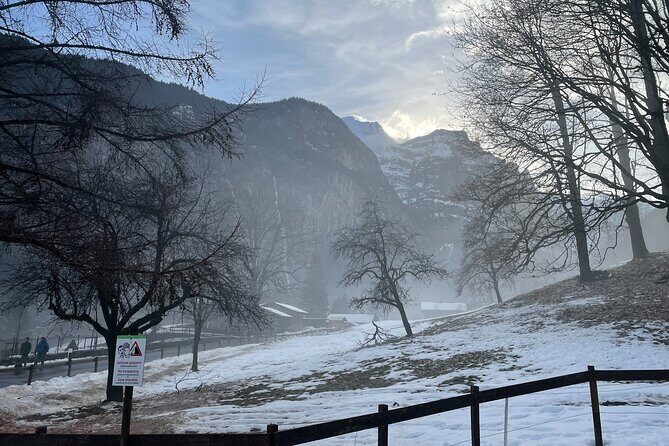 Best of Bernese Oberland & Swiss Countryside Tour - Transportation and Comfort