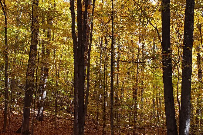 Best of Boyne - Full Day Private Experience - Starting Point: Gilda’s Bakery in Boyne City