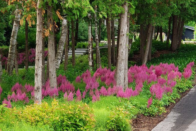 Best of Boyne - Full Day Private Experience - Lunch with a View in Boyne City