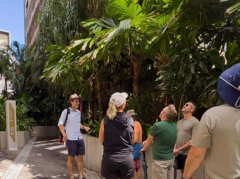 Best of Brisbane Walking Tour | Small Group & snack - Exploring the Best of Brisbane on Foot: A Honest Review