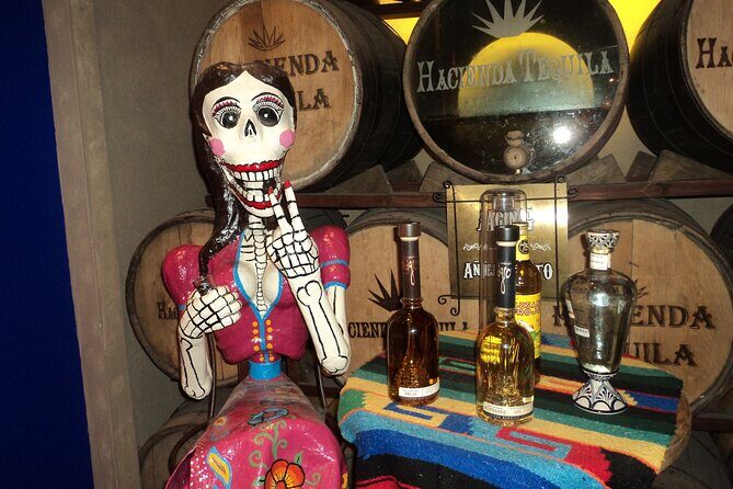 Best of Cabo Highlights 6x1 - A Full Breakdown of the Cabo Highlights Tour