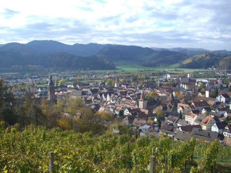 Best of Gengenbach Walk Tour with a Professional Guide - Pricing and Value