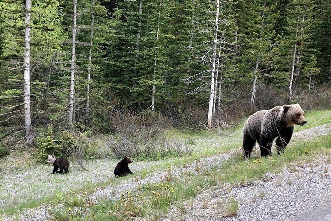 Best of Glaciers from Calgary/Canmore/Banff - FAQ