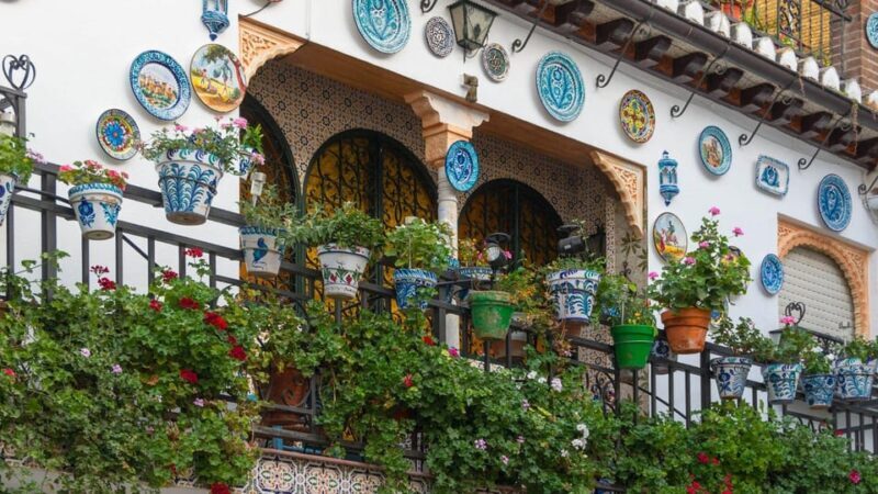 Best of Granada: Private Walking Tour with a Local - Authentic Feedback from Reviewers