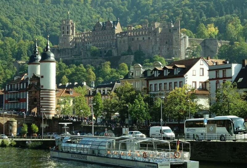 Best of Heidelberg Private Walk Tour with Professional Guide - What Makes This Tour Stand Out?