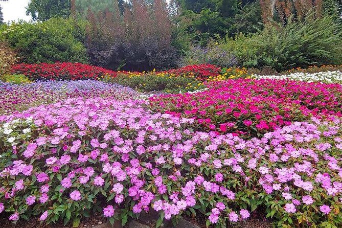 Best of Lake Como: guided visit to Villa Carlotta + 1 h private watertaxi cruise - Authentic Traveler Feedback